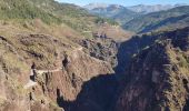 Excursión Senderismo Daluis - Gorges du Daluis vu du haut - Photo 3