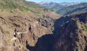 Randonnée Marche Daluis - Gorges du Daluis vu du haut - Photo 3