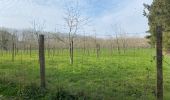 Excursión Senderismo Gerpinnes - Les jonquilles  - Photo 1