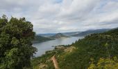 Tocht Noords wandelen Celles - Les Vailhés - Lac du Salagou - Photo 20