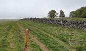 Tour Wandern Marchastel - [06] Compostelle : de Marchastel / Nasbinals à Saint-Chély-d'Aubrac - Photo 14