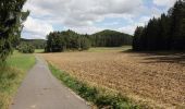 Tour Zu Fuß Hirschbach - Eschenfelden Rundweg 4 - Photo 1