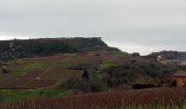 Percorso Marcia Solutré-Pouilly - Solutré - Photo 10