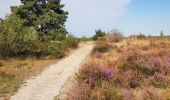 Percorso Marcia Maasmechelen - Mechelse Heide  - Photo 3