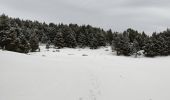 Tour Wandern Les Angles - les angles la rivière aude - Photo 4