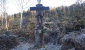 Tocht Stappen Theux - autour du bois de la porallée - Photo 4