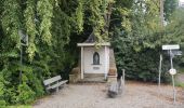 Trail Walking Hoeselt -  Sint-Huibrechts-Hern - Photo 1