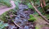 Trail Walking Gérardmer - Gérardmer - Photo 15