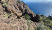 Percorso Marcia Valverde - Camino de Las Playas (El Hierro) - Photo 12