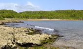 Tour Wandern Saint-François - Guadeloupe - Anse à la Baie à Porte d'Enfer - Photo 11