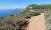 Tocht Stappen La Ciotat - st fretouse le semaphore belvédère la  route des crêtes  - Photo 2