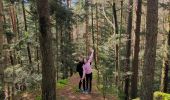 Trail Walking Ottrott - mont st Odile, chemin de croix - Photo 4