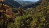 Randonnée Marche Venterol - Venterol La Combe de Sauve boucle  - Photo 1