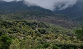 Trail Walking Montpeyroux - Saint-Baudille  - Photo 6