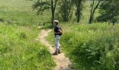 Trail Walking Ittre - Ittre  - Photo 4