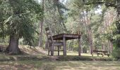 Randonnée Marche Marcoux - Ballade au volcan Montaubourg  - Photo 12