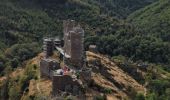 Trail Walking Mont Lozère et Goulet - Château de Tournel - Photo 15