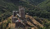 Randonnée Marche Mont Lozère et Goulet - Château de Tournel - Photo 15