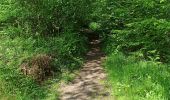 Trail Walking Saint-Amand-les-Eaux - terril vicoigne - Photo 3