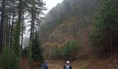 Randonnée Marche Fozières - Fauzieres jolie balade, fangouze, belle montée et retour dans la foret - Photo 10