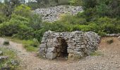Tour Wandern Ollioules - Châteauvallon - Ollioules - Photo 6