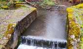 Randonnée Marche Couvin - Balade familiale autour du barrage du Ry de Rome - Photo 5