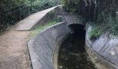 Trail  Mougins - Le long du canal de la Siagne (une partie) - Photo 4