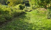 Percorso Marcia Unknown - Lavardin - Chemin de la roue des Carriers - Photo 9