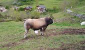 Trail Walking Roquefeuil - comud - Photo 1
