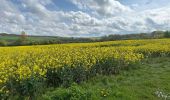 Tour Wandern Escalles -  Cap Blanc Nez-Wissant-mont de Couple 25 km - Photo 15