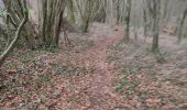 Trail Walking Meix-devant-Virton - Gite-de-gaume : Entre France et Belgique  - Photo 10