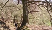 Randonnée Marche Blegny - Promenade vers les Houlpais - Photo 10