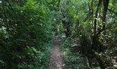 Trail Walking Cassel - Cassel Terdeghem 15 km - Photo 19