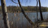 Randonnée A pied Malschwitz - Malešecy - Naturerlebnispfad „Guttauer Teiche & Olbasee