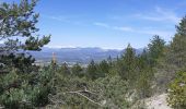 Trail Walking Sisteron - Sisteron - Molard - Photo 3