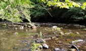 Tocht Stappen Libin - Promenade de la Lesse (8,6km)   - Photo 15