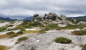 Percorso Marcia Zicavo - Corse - Boucle de l'aconit depuis Bergerie de Basseta - Photo 1