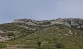 Tocht Stappen Cheval-Blanc - merindol - Photo 2