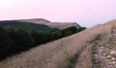 Tour Wandern Bouvante - La tête de la Dame - Photo 5