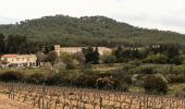 Trail Walking Saint-Cyr-sur-Mer - Dune de sable-St Cyr sur Mer-11-03-22 - Photo 2