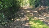 Tour Wandern Tréméven - Boucle de St Jacques à Tréméven,22 - Photo 12