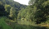 Tour Zu Fuß Waischenfeld - Rundweg Riesenburg - Engelhardsberg - Schottersmühle - Photo 5