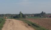 Tour Wandern Seur - seur.cande sur beuvron.chailles.seur - Photo 10