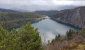 Excursión Senderismo Orbey - lac blanc col du calvaire - Photo 1