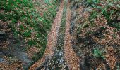 Trail On foot Apeldoorn - palieis 't Loo 
