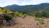Tour Wandern Collioure - commioure entre pradells et consolation  - Photo 18