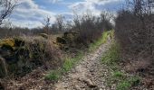 Percorso Marcia Brindas - petit tour sur haut de la joanna - Photo 2