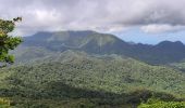 Tour Wandern Le Morne-Rouge - Morne Jacob via Morne-Rouge - Photo 14