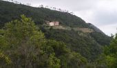 Trail Walking Levanto - Levanto-monterosso-11kmD450m - Photo 2