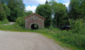 Percorso Marcia Girmont-Val-d'Ajol - Circuit étangs, la Vigotte, La Racine, Girmont Val dAjol - Photo 11